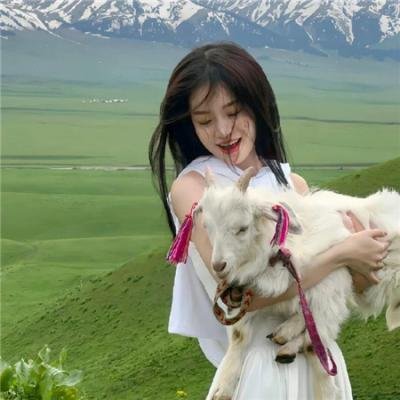 小小便骑士